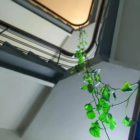 Lägenhet Hermann View *