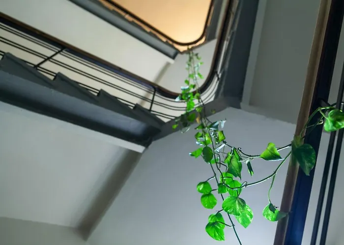 Διαμέρισμα Hermann View *